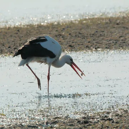 Σπίτι διακοπών 